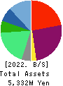 Tameny Inc. Balance Sheet 2022年3月期