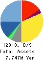 Startia Holdings,Inc. Balance Sheet 2018年Mar期 Startia Holdings,Inc. Balance Sheet 2018年3月期