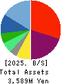 Tameny Inc. Balance Sheet 2025年3月期