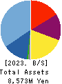 Bleach,Inc. Balance Sheet 2023年Jun期 Bleach,Inc. Balance Sheet 2023年6月期