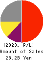 DAIDOH LIMITED Profit and Loss Account 2023年Mar期 DAIDOH LIMITED Profit and Loss Account 2023年3月期