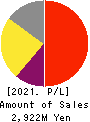 CellSource Co., Ltd. Profit and Loss Account 2021年10月期