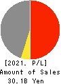 Nippon Pigment Company Limited Profit and Loss Account 2021年3月期