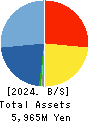 Ricksoft Co.,Ltd. Balance Sheet 2024年Feb期 Ricksoft Co.,Ltd. Balance Sheet 2024年2月期