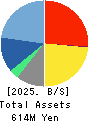 Image Information Inc. Balance Sheet 2025年Mar期 Image Information Inc. Balance Sheet 2025年3月期