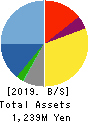 AUN CONSULTING,Inc. Balance Sheet 2019年5月期