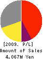 E-SYSTEM CORPORATION Profit and Loss Account 2009年12月期