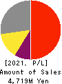 TEIN, INC. Profit and Loss Account 2021年Mar期 TEIN, INC. Profit and Loss Account 2021年3月期