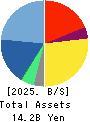 Startia Holdings,Inc. Balance Sheet 2025年3月期