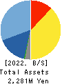 T&S Group Inc. Balance Sheet 2022年11月期