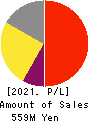 PRIME STRATEGY CO.,LTD. Profit and Loss Account 2021年11月期