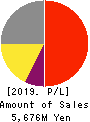 BrainPad Inc. Profit and Loss Account 2019年6月期