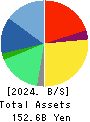 TechnoPro Holdings,Inc. Balance Sheet 2024年Jun期 TechnoPro Holdings,Inc. Balance Sheet 2024年6月期