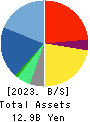 Startia Holdings,Inc. Balance Sheet 2023年3月期