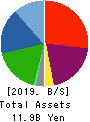 TRUST Holdings Inc. Balance Sheet 2019年6月期