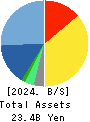 COMTURE CORPORATION Balance Sheet 2024年Mar期 COMTURE CORPORATION Balance Sheet 2024年3月期