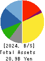 Focus Systems Corporation Balance Sheet 2024年Mar期 Focus Systems Corporation Balance Sheet 2024年3月期