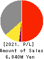 EnBio Holdings Profit and Loss Account 2021年Mar期 EnBio Holdings Profit and Loss Account 2021年3月期