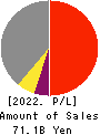 NSD CO., LTD. Profit and Loss Account 2022年3月期