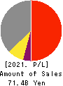 NICHIREKI GROUP CO., LTD. Profit and Loss Account 2021年Mar期 NICHIREKI GROUP CO., LTD. Profit and Loss Account 2021年3月期