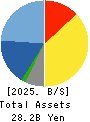 TDC SOFT Inc. Balance Sheet 2025年Mar期 TDC SOFT Inc. Balance Sheet 2025年3月期