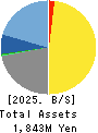 Techno Mathematical Co.,Ltd. Balance Sheet 2025年Mar期 Techno Mathematical Co.,Ltd. Balance Sheet 2025年3月期