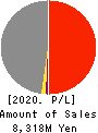 AIAI Group Corporation Profit and Loss Account 2020年Dec期 AIAI Group Corporation Profit and Loss Account 2020年12月期