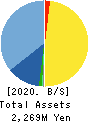 RIBOMIC Inc. Balance Sheet 2020年Mar期 RIBOMIC Inc. Balance Sheet 2020年3月期