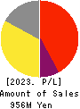 Ame Kaze Taiyo,Inc. Profit and Loss Account 2023年12月期