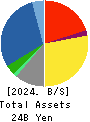 DN HOLDINGS CO.,LTD. Balance Sheet 2024年Jun期 DN HOLDINGS CO.,LTD. Balance Sheet 2024年6月期