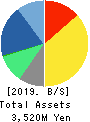 iRidge,Inc. Balance Sheet 2019年Mar期 iRidge,Inc. Balance Sheet 2019年3月期