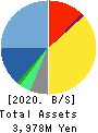 IID, Inc. Balance Sheet 2020年6月期