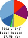 Bushiroad Inc. Balance Sheet 2021年Jun期 Bushiroad Inc. Balance Sheet 2021年6月期