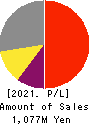 S&J Corporation Profit and Loss Account 2021年3月期