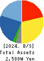 IPS HOLDINGS CO.,LTD. Balance Sheet 2024年Jun期 IPS HOLDINGS CO.,LTD. Balance Sheet 2024年6月期