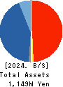 Quantum Solutions Co.,Ltd. Balance Sheet 2024年Feb期 Quantum Solutions Co.,Ltd. Balance Sheet 2024年2月期