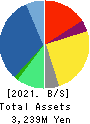 SHINWA WISE HOLDINGS CO.,LTD. Balance Sheet 2021年May期 SHINWA WISE HOLDINGS CO.,LTD. Balance Sheet 2021年5月期