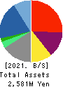Virtualex Holdings,Inc. Balance Sheet 2021年3月期