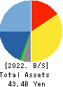 Systena Corporation Balance Sheet 2022年3月期