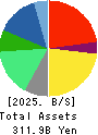 AIN HOLDINGS INC. Balance Sheet 2025年4月期
