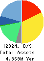 CELM,Inc. Balance Sheet 2024年Mar期 CELM,Inc. Balance Sheet 2024年3月期