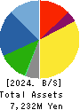 KATSURAGAWA ELECTRIC CO.,LTD. Balance Sheet 2024年3月期