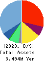 i-plug,Inc. Balance Sheet 2023年Mar期 i-plug,Inc. Balance Sheet 2023年3月期