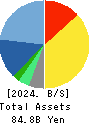 DTS CORPORATION Balance Sheet 2024年Mar期 DTS CORPORATION Balance Sheet 2024年3月期