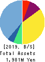D.Western Therapeutics Institute, Inc. Balance Sheet 2019年12月期