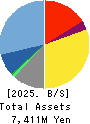 ENECHANGE Ltd. Balance Sheet 2025年Mar期 ENECHANGE Ltd. Balance Sheet 2025年3月期