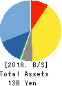 Computer Institute of Japan,Ltd. Balance Sheet 2018年Jun期 Computer Institute of Japan,Ltd. Balance Sheet 2018年6月期