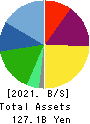 Menicon Co.,Ltd. Balance Sheet 2021年3月期