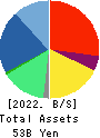 Net Protections Holdings,Inc. Balance Sheet 2022年Mar期 Net Protections Holdings,Inc. Balance Sheet 2022年3月期