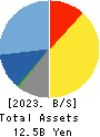 CUBE SYSTEM INC. Balance Sheet 2023年Mar期 CUBE SYSTEM INC. Balance Sheet 2023年3月期